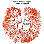 12. Tętnice jelita cienkiego - Arteries of intestine