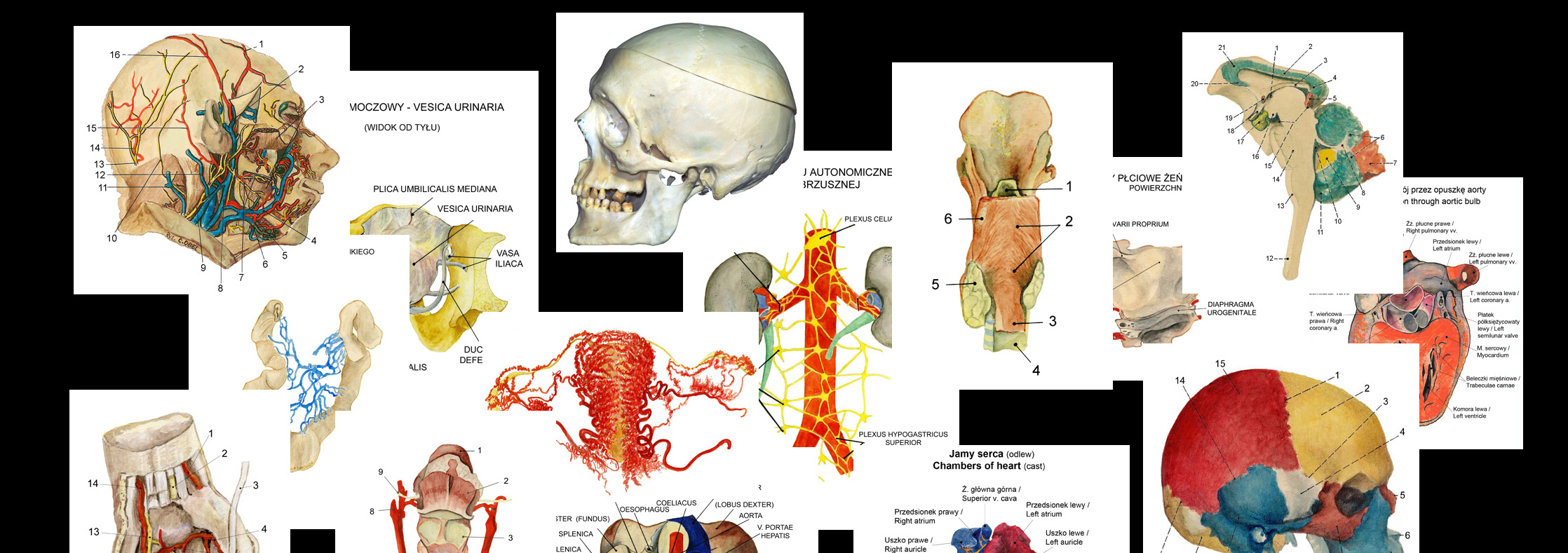 Wybrane grafiki